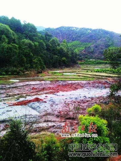 非法鋁灰廠附近的農(nóng)田被污水沖毀。