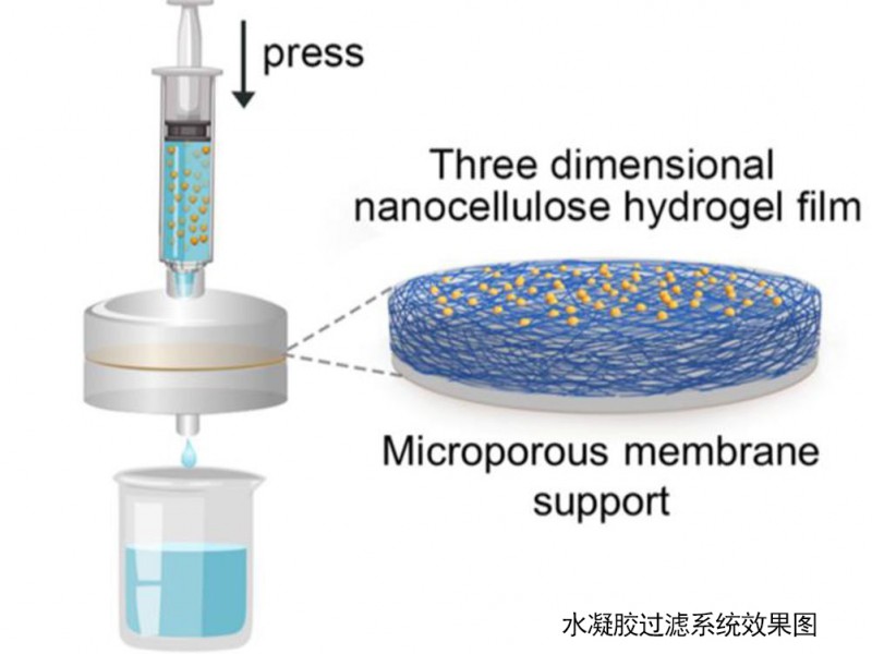 utexasat-austinlow-res_2024-me-yu-injectable-hydrogel-1